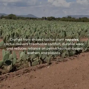 Image 8 of YY Nation Derecho Cactus Men's