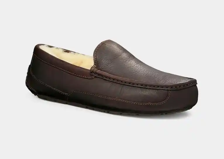 Image 1 of UGG Ascot Men's