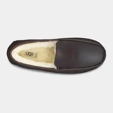 Image 4 of UGG Ascot Men's