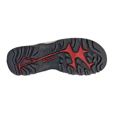 Image 5 of Ecco Offroad Shoe Waterproof Men's
