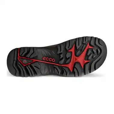 Image 6 of Ecco Offroad Waterproof Shoe Men's