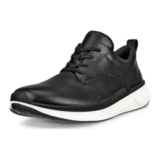 Cover image of Black Ecco Biom 2.2 Hybrid Men's