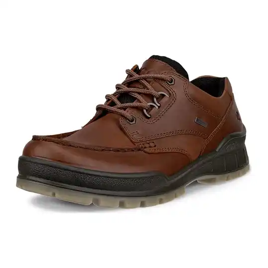 Cover image of BISON Ecco Track 25 Low GTX Men's