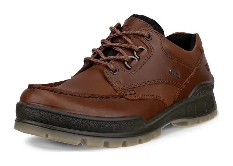 Image 1 of Ecco Track 25 Low GTX Men's