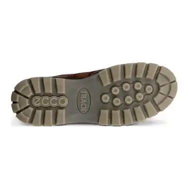 Image 4 of Ecco Track 25 Low GTX Men's