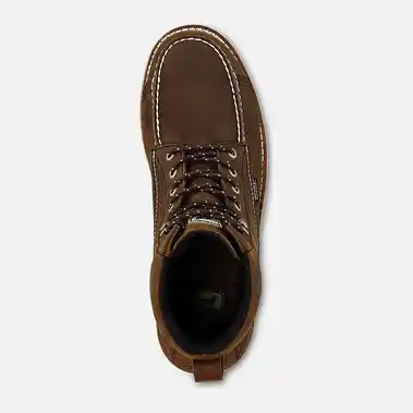Image 4 of Irish Setter Wingshooter 6