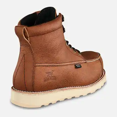 Image 3 of Irish Setter Wingshooter ST 6