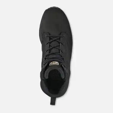 Image 4 of Irish Setter Clearwater 6