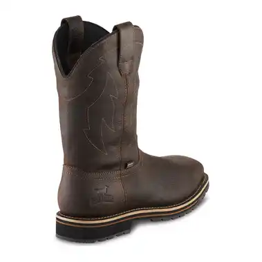 Image 3 of Irish Setter Kittson 11