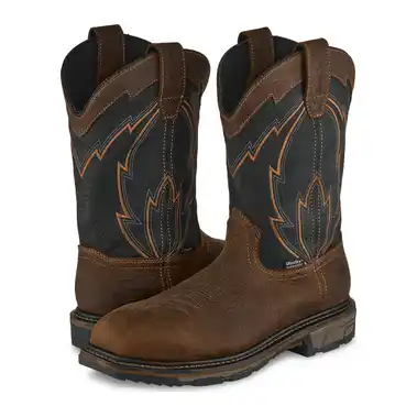 Image 10 of Irish Setter 11