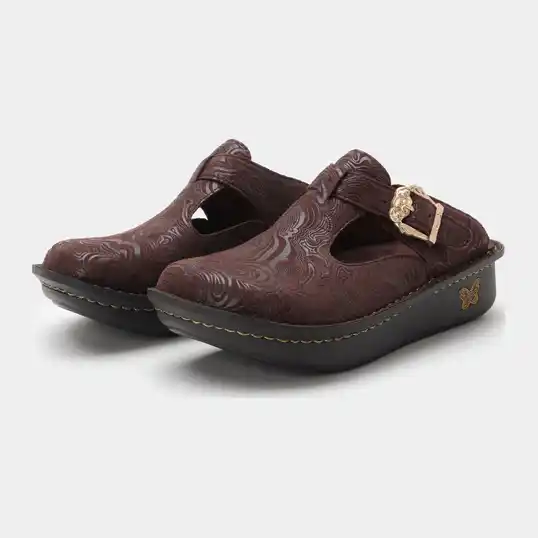 Cover image of Swirling Brown Alegria Classic Women's