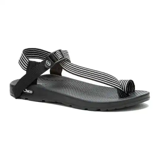 Cover image of BAR B&W Chaco Bodhi Women's