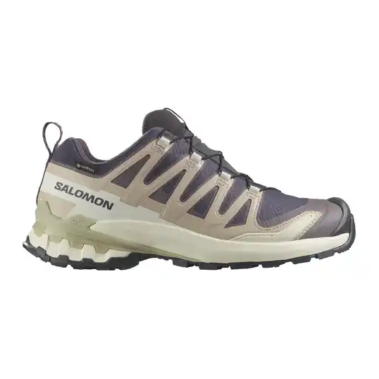 Cover image of Nine Iron/Oxford Tan/Alfalfa Salomon Xa Pro 3D V9 GTX Women's